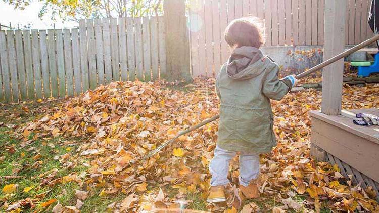 Small boy helping with Fall yard maintenance by raking leaves.