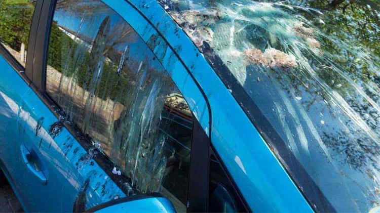 Blue car covered with bird droppings causing the owner to wonder how to keep the birds away from his house.