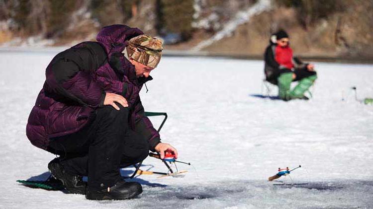 Two people ice fishing.
