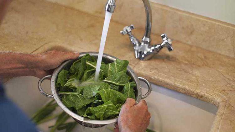 Rinsing greens in a colander with tap water from the kitchen sink