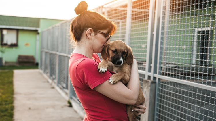 Woman at animal shelter adopting a dog.