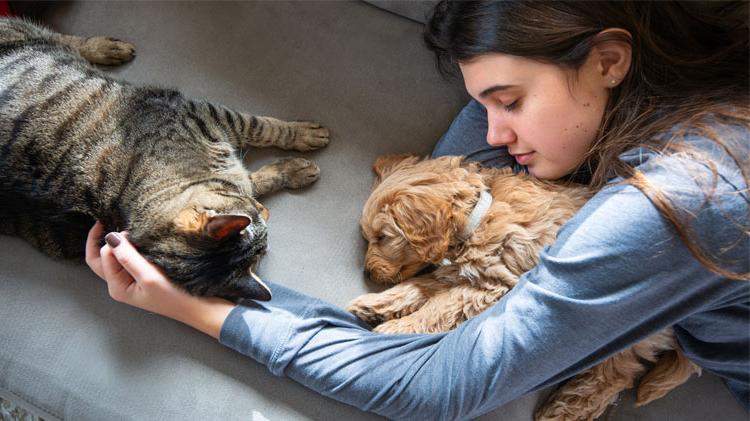 Girl comforting her dog and cat.